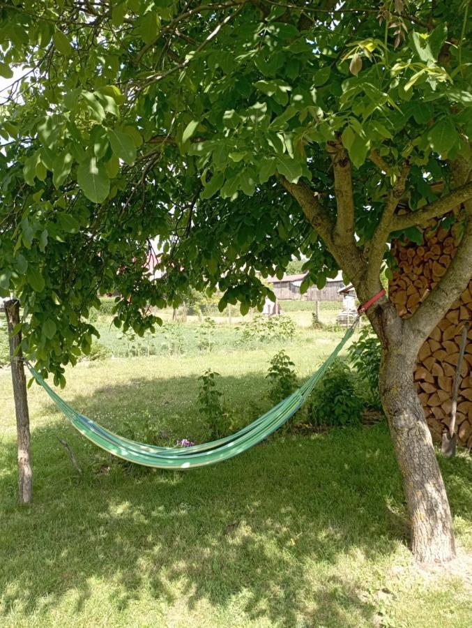Soltysowka Villa Wolka Nadbuzna  Luaran gambar