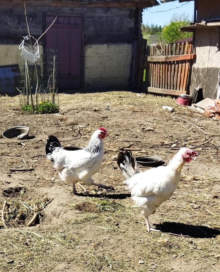 Soltysowka Villa Wolka Nadbuzna  Luaran gambar